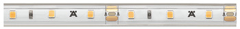 LED strip light with silicone sleeve, Häfele Loox5 LED 2063, 12 V, monochrome, 8 mm
